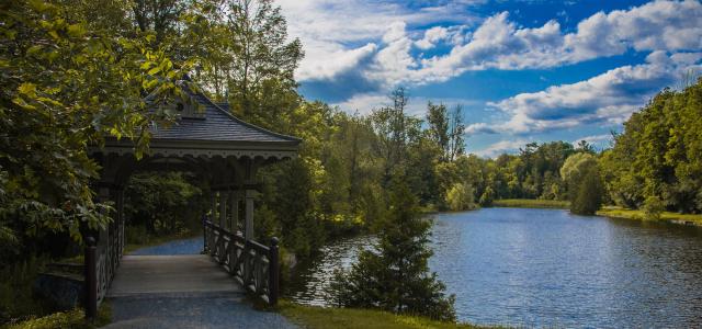 Ontario landscape