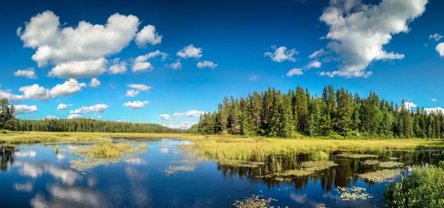 Ontario landscape